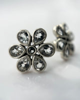 Himatsingka Galaxy Small 6-Petal Earrings