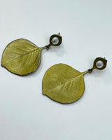 Eucalyptus Round Leaf Earrings