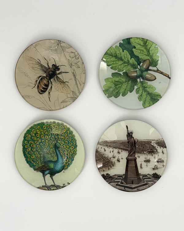 John Derian 5 1/4" Round Plates
