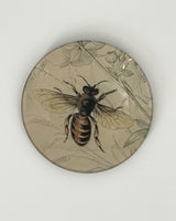 John Derian 5 1/4" Round Plates