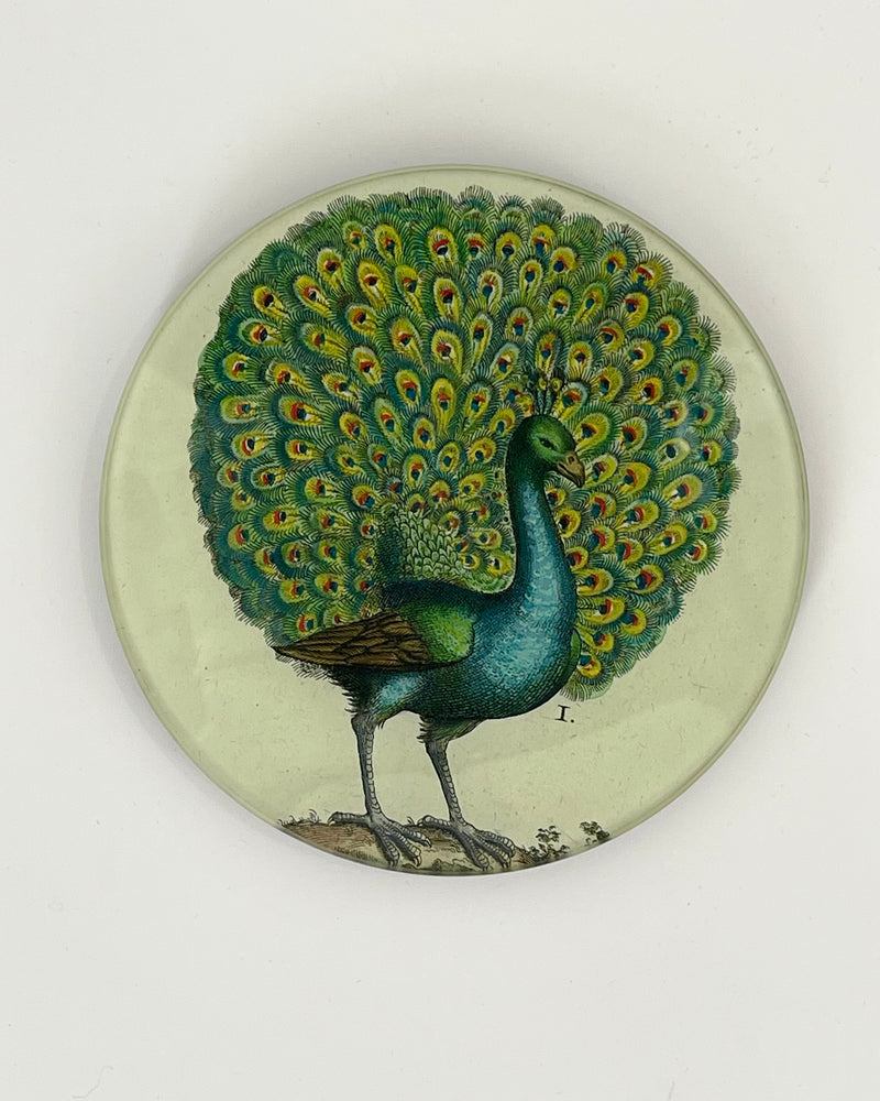 John Derian 5 1/4" Round Plates