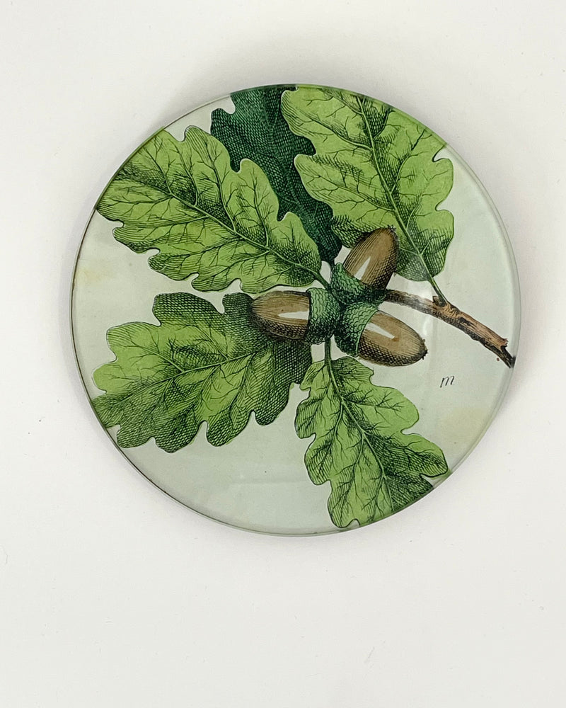 John Derian 5 1/4" Round Plates