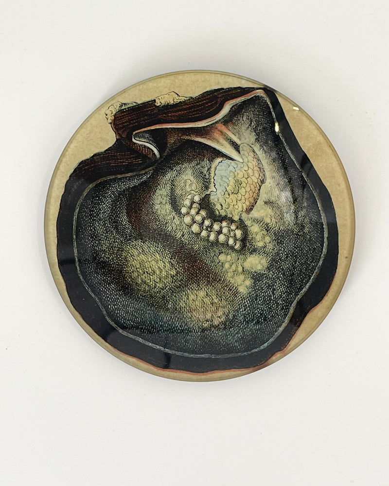 John Derian 5 1/4" Round Plates