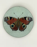 John Derian 5 1/4" Round Plates