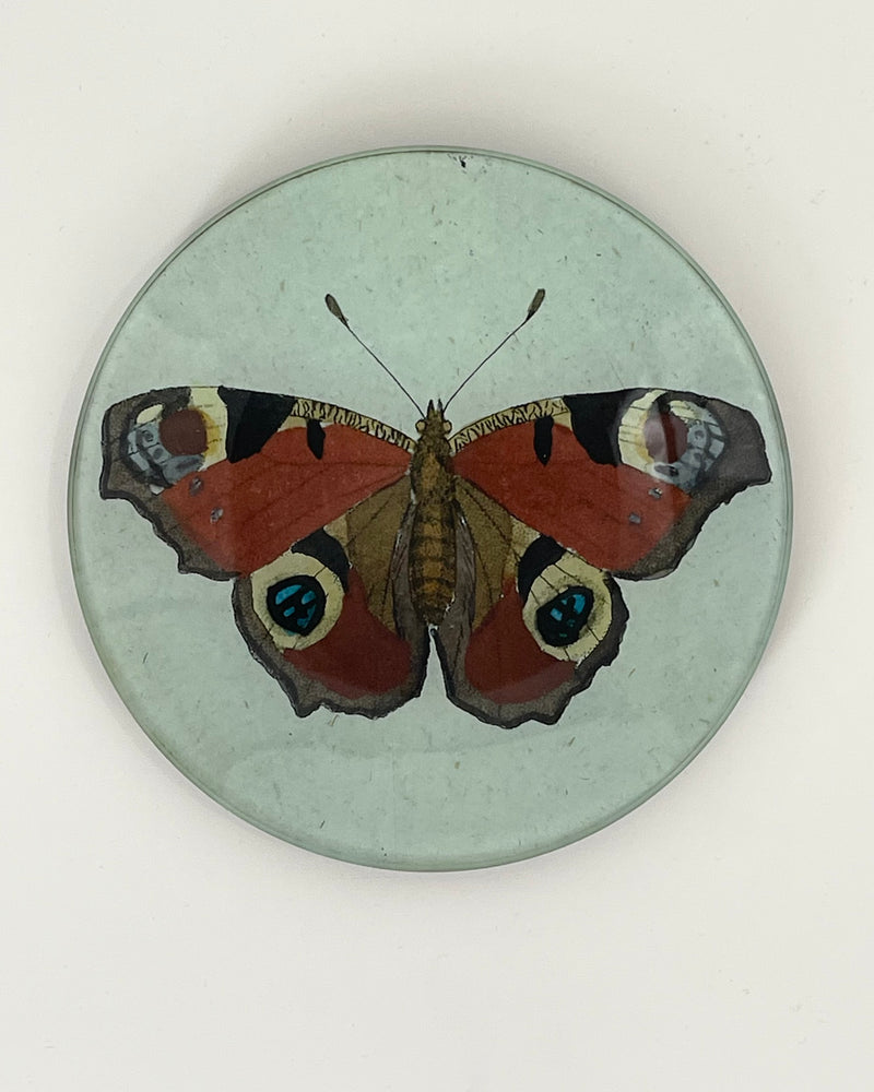 John Derian 5 1/4" Round Plates