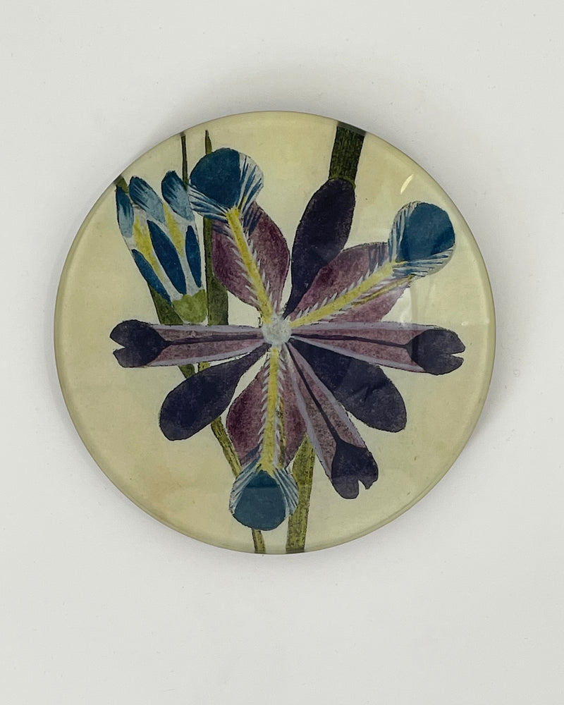 John Derian 5 1/4" Round Plates