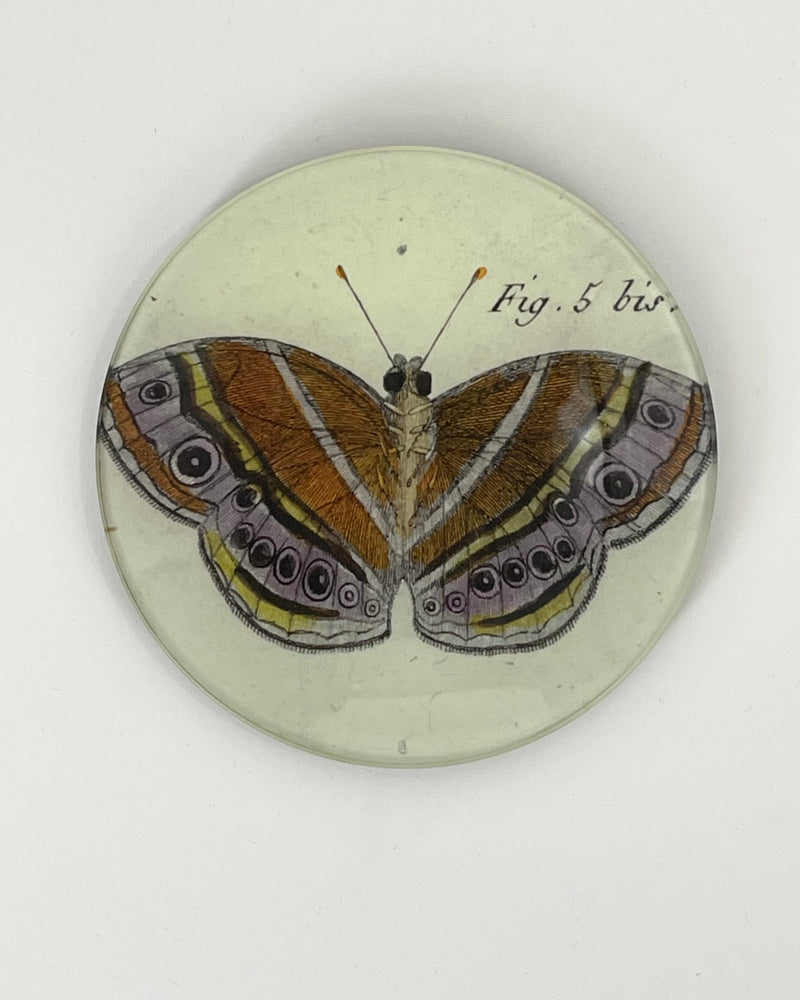 John Derian 5 1/4" Round Plates