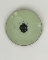 John Derian 5 1/4" Round Plates