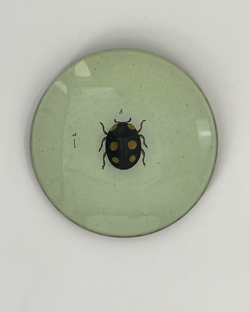 John Derian 5 1/4" Round Plates