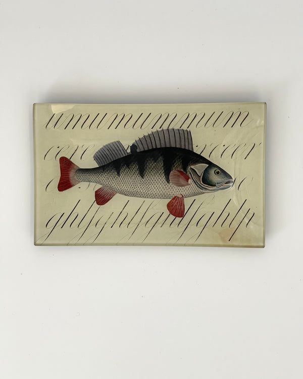 John Derian 5" x 8" Trays