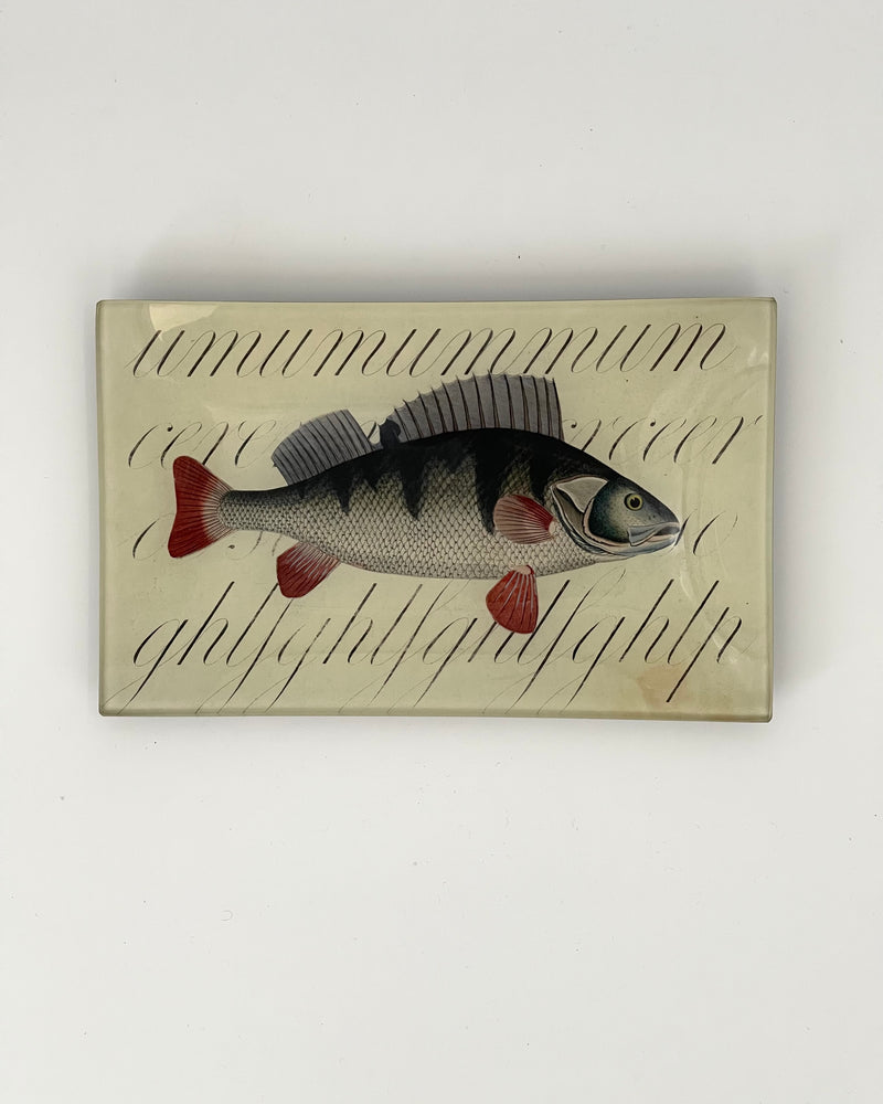 John Derian 5" x 8" Trays