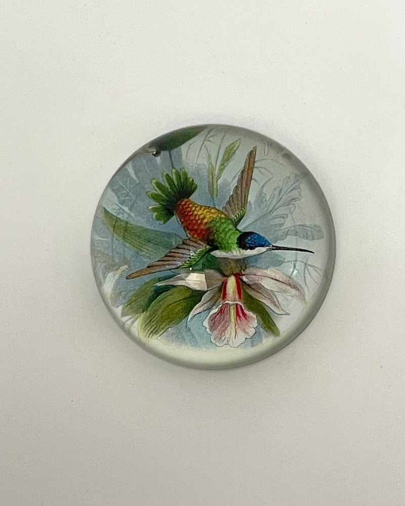 John Derian Dome Paperweights