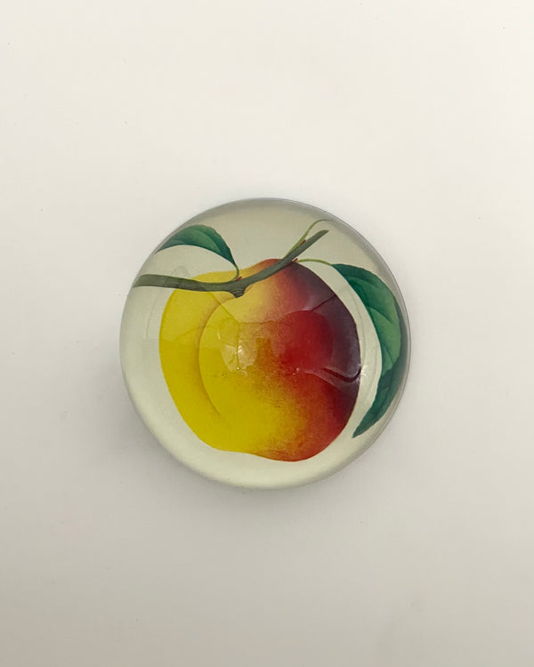 John Derian Dome Paperweights