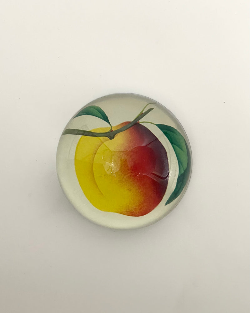 John Derian Dome Paperweights