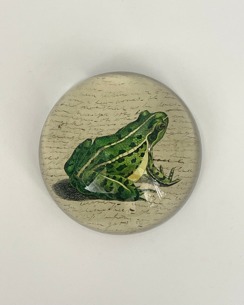 John Derian Dome Paperweights