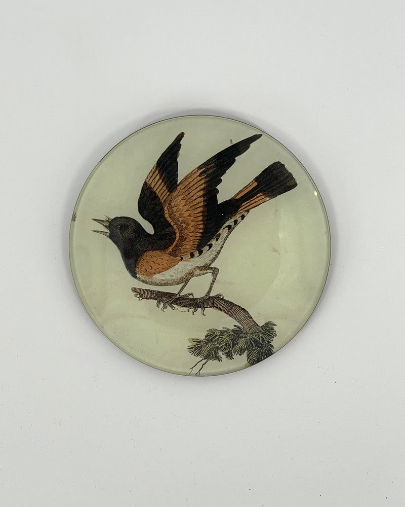 John Derian 5 1/4" Round Plates