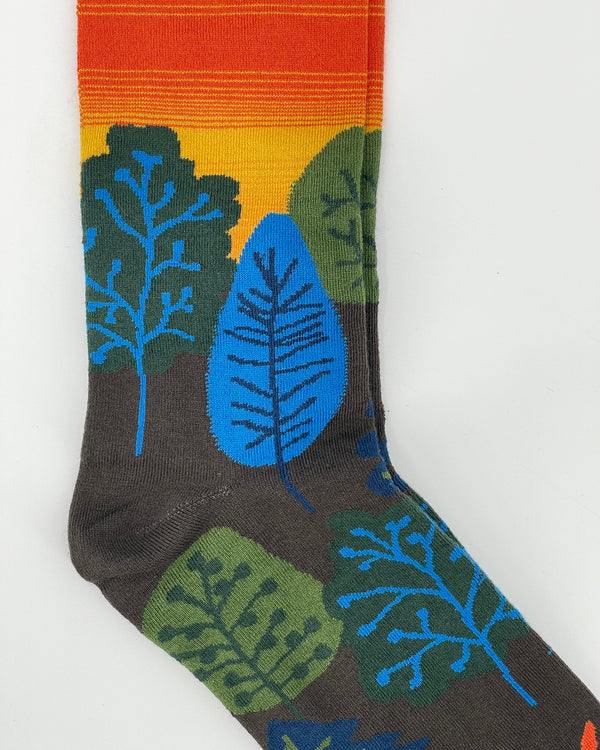 Aurora-Multicolor Women's Knee-High Socks