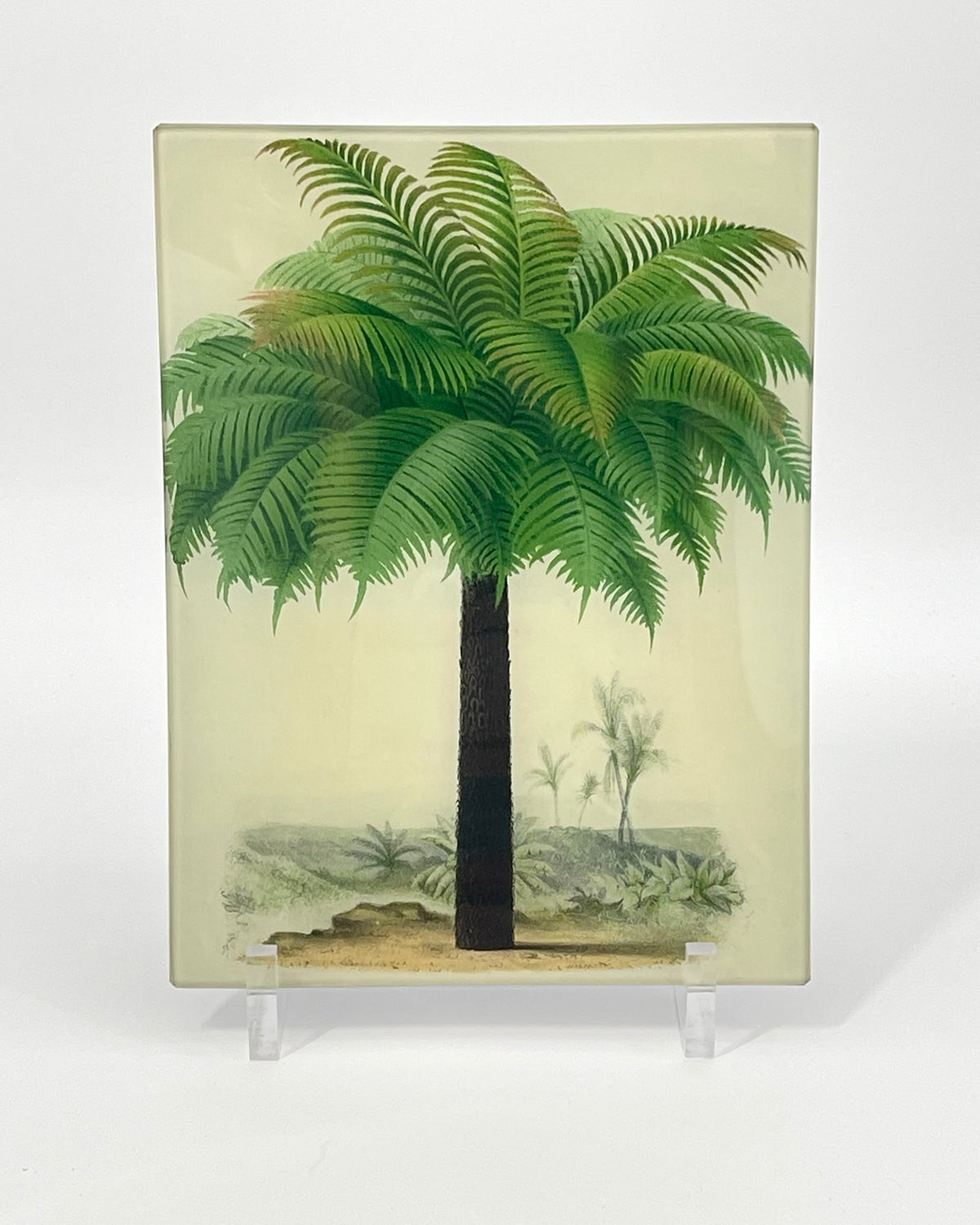 John Derian – MOTTO