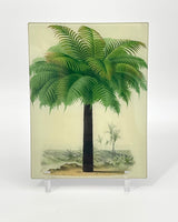 John Derian 8" x 10 1/2" Rectangular Trays