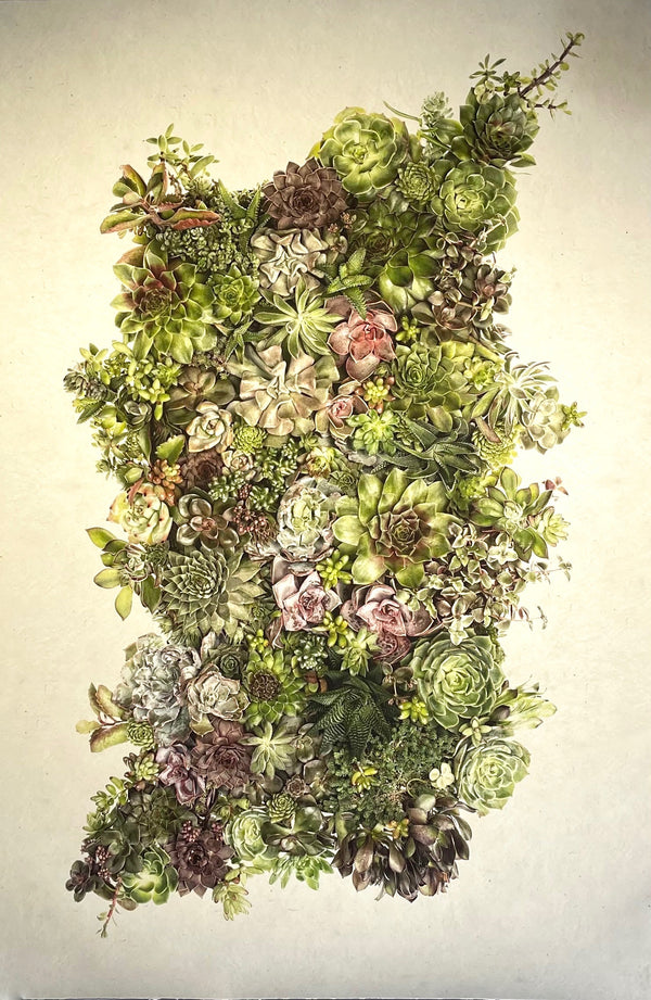 Grand Format Collective Succulents