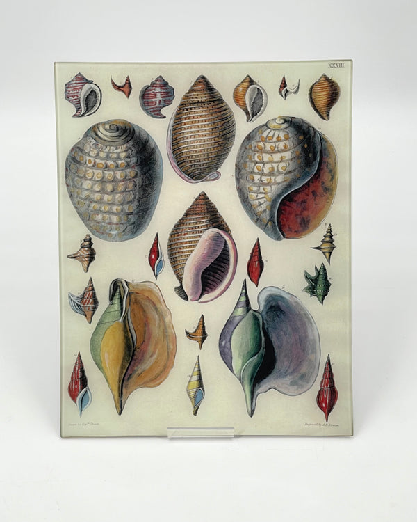 John Derian 11" x 14" Trays
