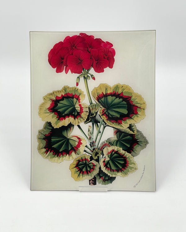 John Derian 11" x 14" Trays