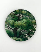 John Derian 5 1/4" Round Plates