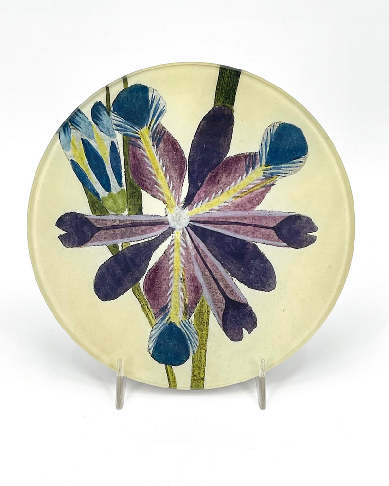 John Derian 5" Round Plates