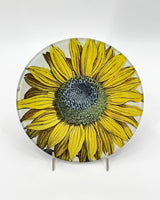 John Derian 5 1/4" Round Plates