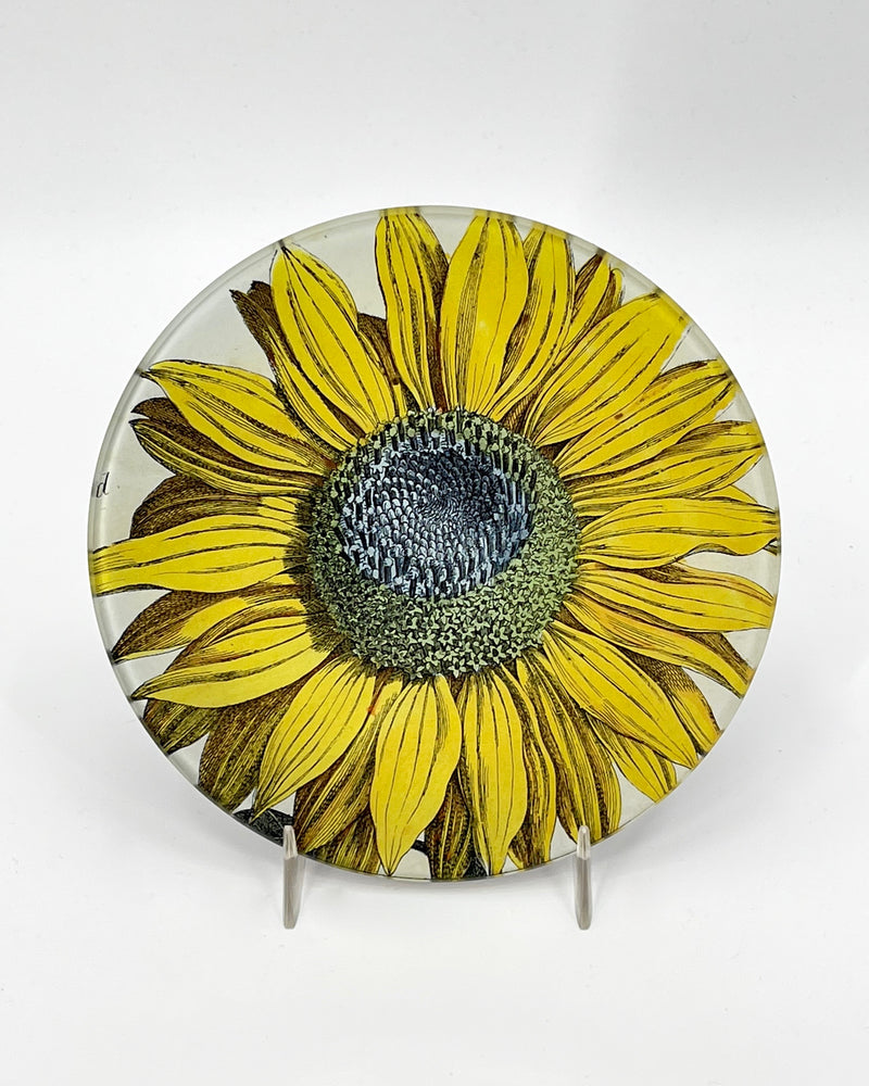 John Derian 5 1/4" Round Plates