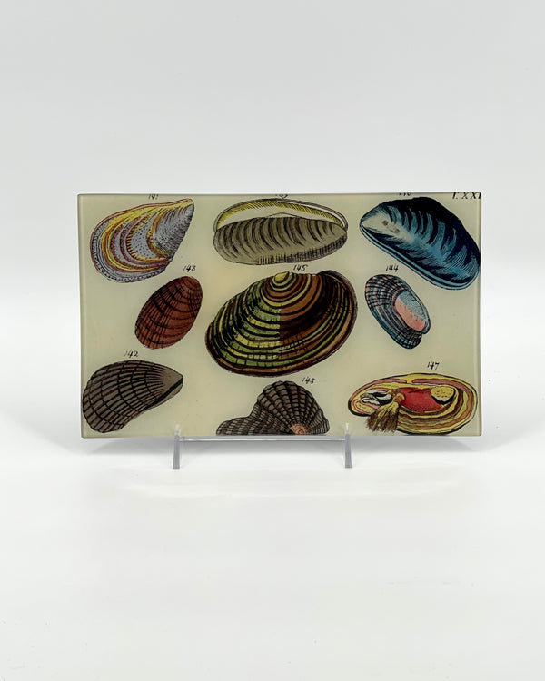 John Derian 7 x 11 1/2" Trays