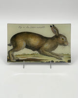 John Derian 7 x 11 1/2" Trays