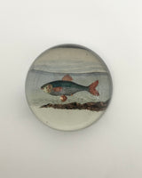 John Derian Dome Paperweights