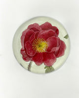 John Derian Dome Paperweights
