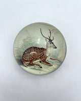 John Derian Dome Paperweights