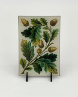 John Derian Mini Trays