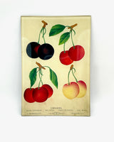 John Derian Mini Trays