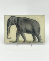 John Derian Mini Trays
