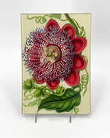 John Derian Mini Trays