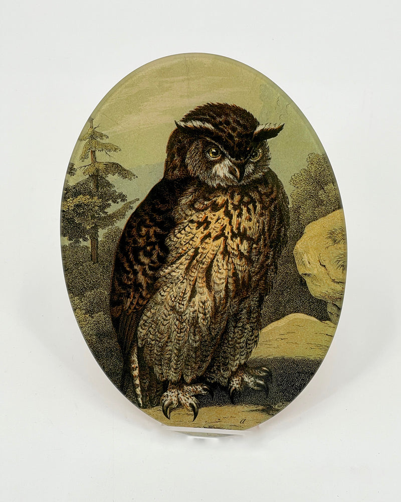 John Derian 7 x 10" Oval Owl Plate