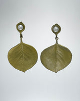 Eucalyptus Round Leaf Earrings