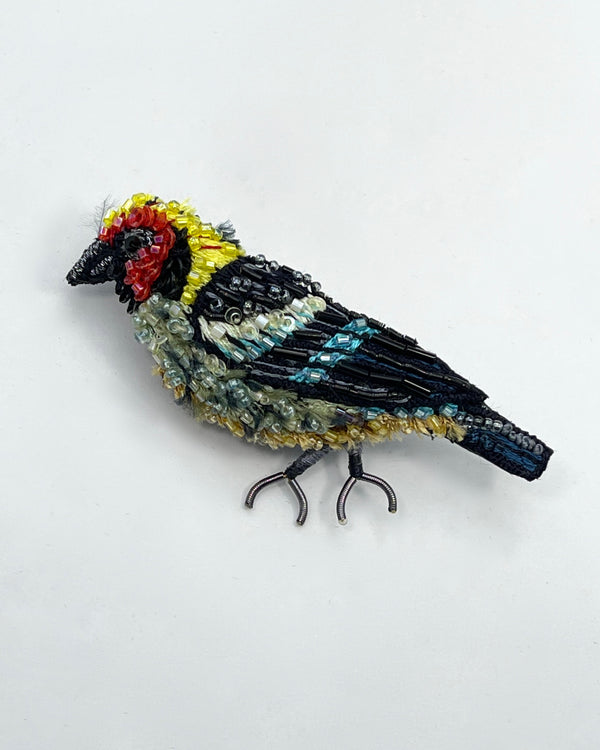 Flame Faced Tanager Brooch