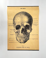 Posters / Giftwrap